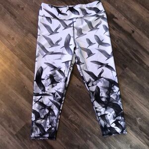 Evolution and Creation Women's Capri Leggings